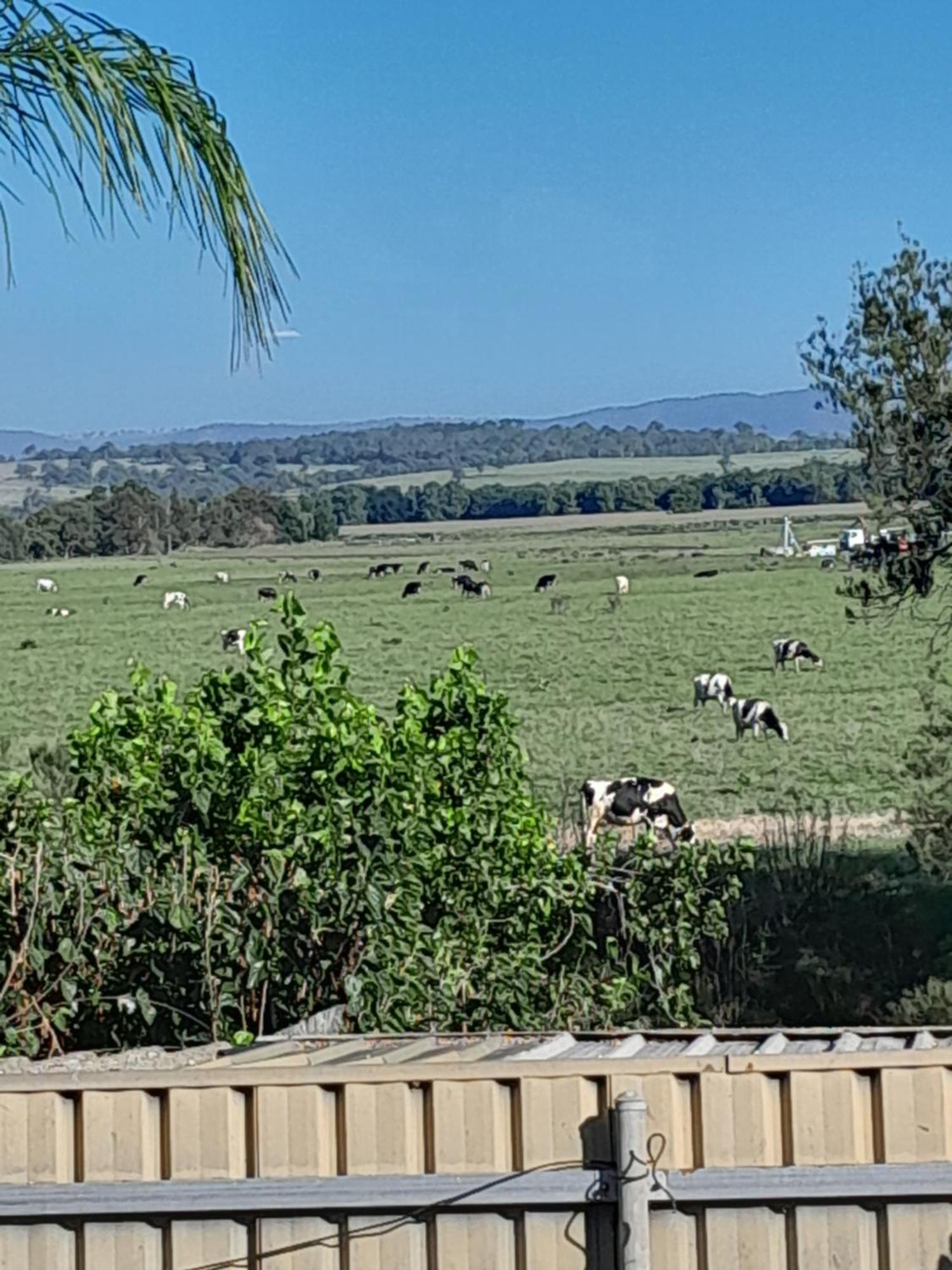Muswellbrook Northside Bed & Breakfast Buitenkant foto